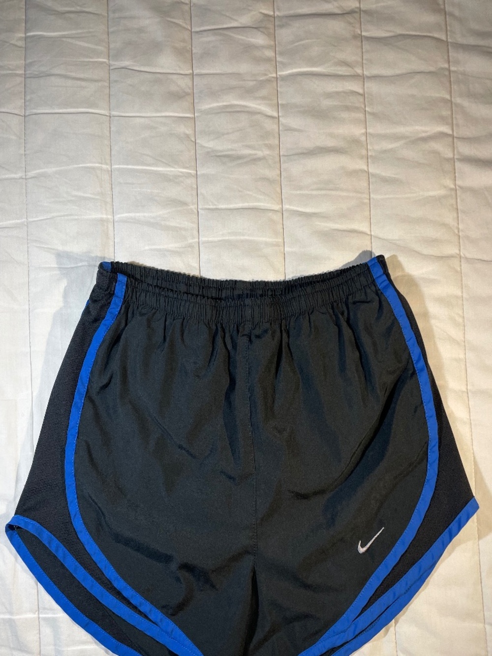 Lined Nike Shorts NWOT